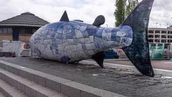 THE BIG FISH