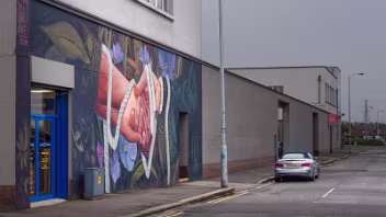 ENTWINED MURAL BY JOLIEN DE WAYLE