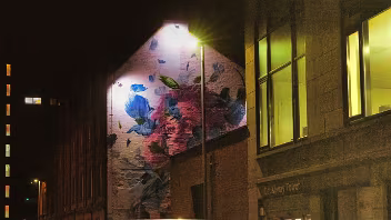 IN YOUR FACE - BELFAST SPRING BY KASPAR VAN LEEK AND NIELS SWAEMEN