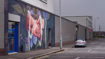ENTWINED MURAL BY JOLIEN DE WAYLE For those documenting the evolving built environment of East Belfast, the corner of Newtownards Road and East Bread...