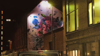 IN YOUR FACE - BELFAST SPRING BY KASPAR VAN LEEK AND NIELS SWAEMEN Discover the breathtaking 'Flax' mural by Dutch artist duo Studio Giftig on James Street South. Created for the Hit the...