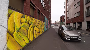 STREET ART MAY 2018 Explore the vibrant Belfast street art scene of May 2018. Discover how artists like Smug, Dan Kitchener, and Friz...