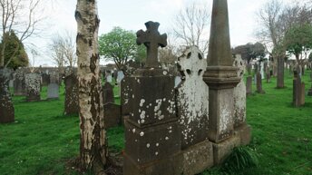 GLASNEVIN CEMETERY APRIL 2024