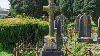 ST LUKE'S GRAVEYARD IN DOUGLAS Discover the historic beauty of St Luke’s Graveyard in Douglas, Cork. From its iconic Weeping Beech to the grand...