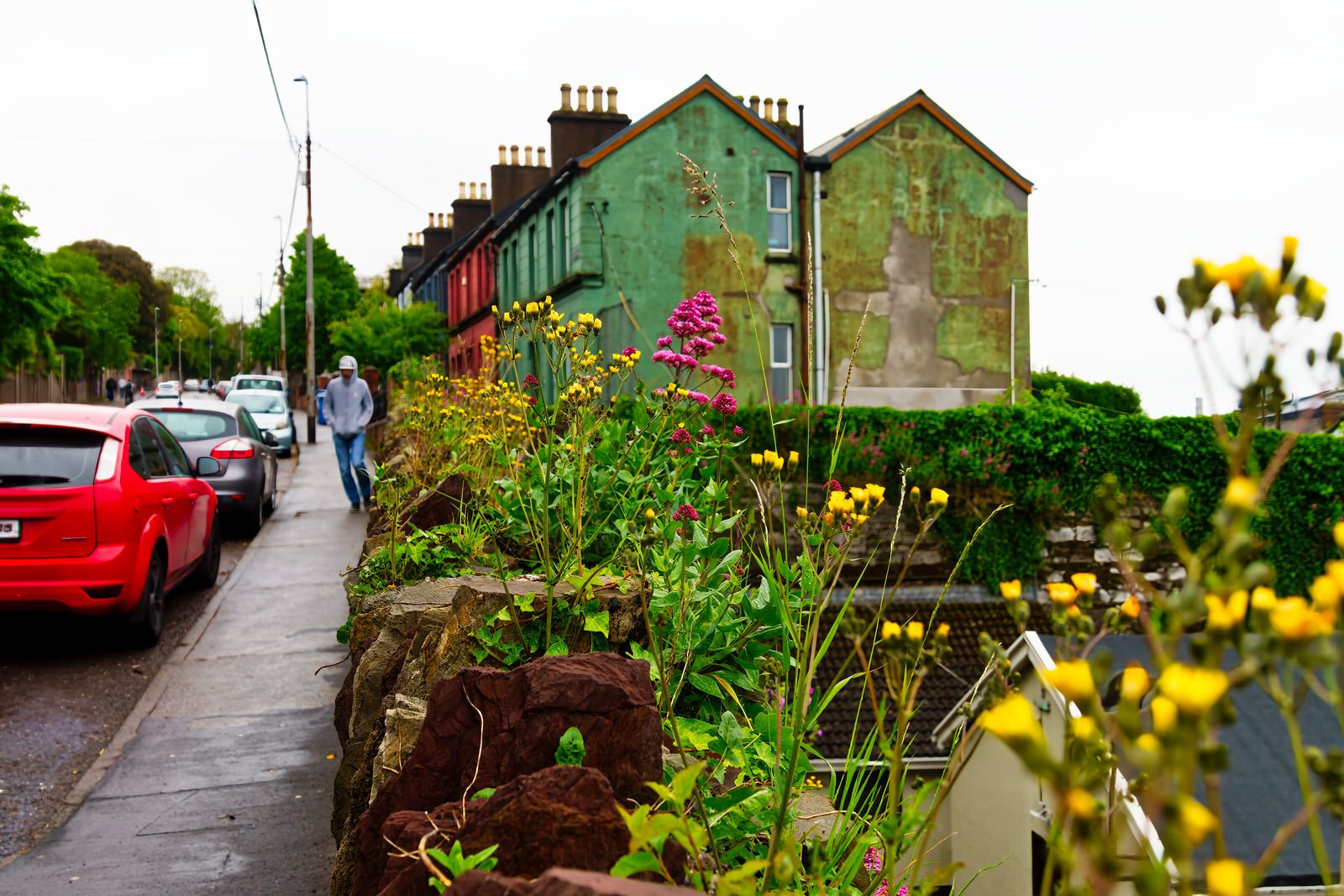 A WALK ALONG SUMMERHILL NORTH [IN CORK EVERYWHERE IS UPHILL OR DOWNHILL]-225789-1