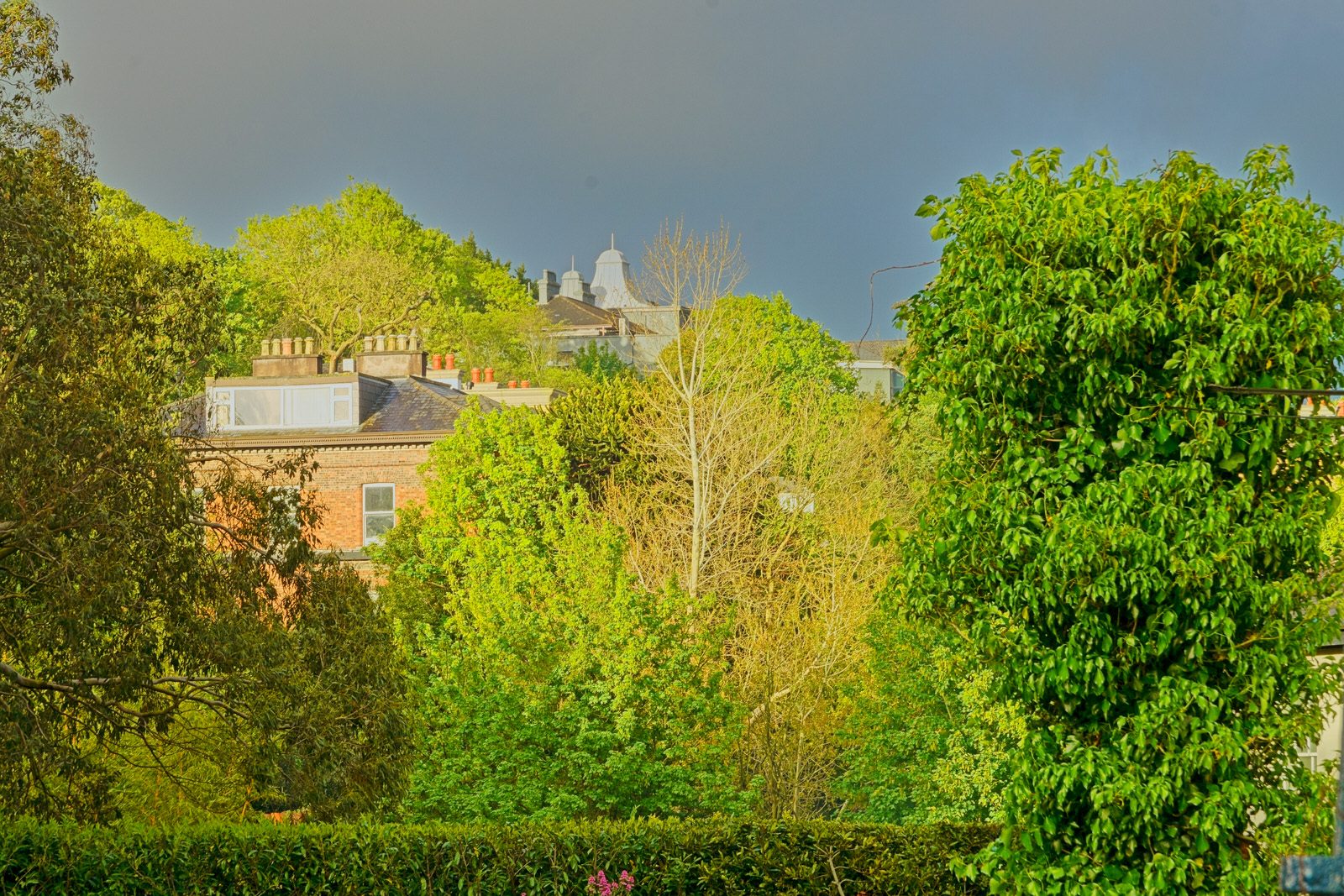 A WALK ALONG SUMMERHILL NORTH [IN CORK EVERYWHERE IS UPHILL OR DOWNHILL]-225808-1