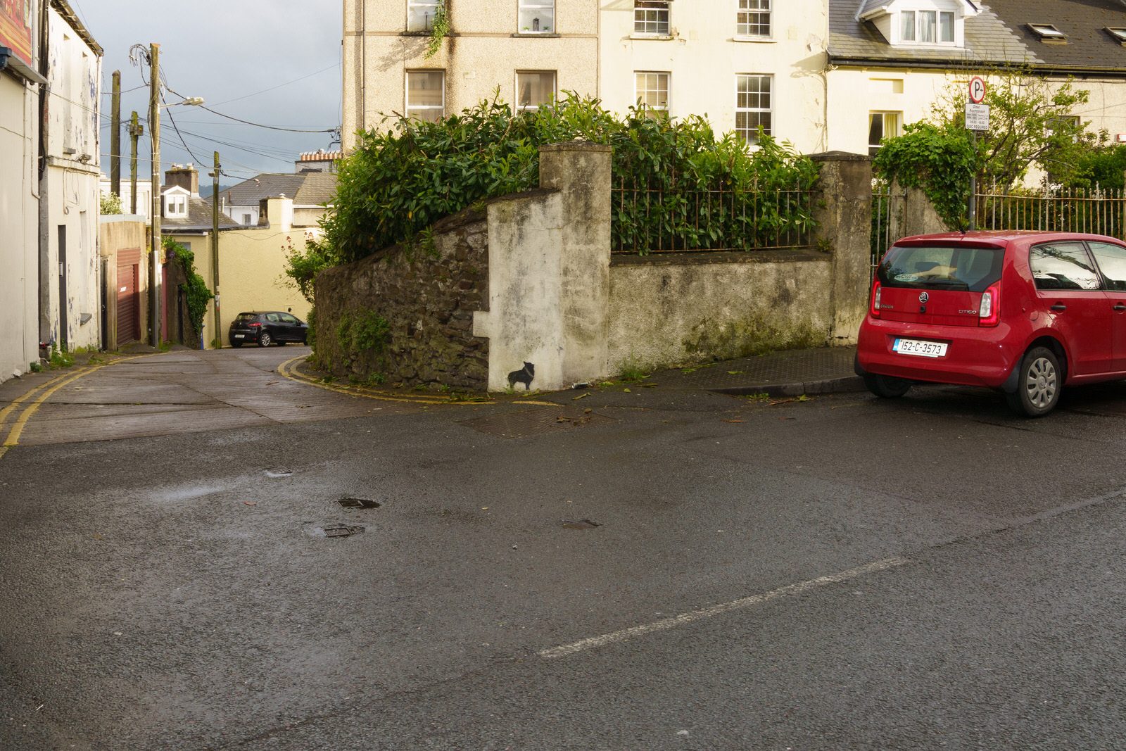 A WALK ALONG SUMMERHILL NORTH [IN CORK EVERYWHERE IS UPHILL OR DOWNHILL]-225811-1