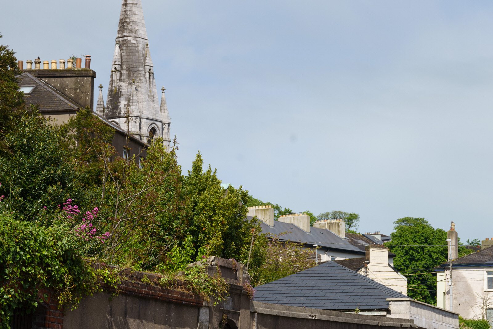 A WALK ALONG SUMMERHILL NORTH [IN CORK EVERYWHERE IS UPHILL OR DOWNHILL]-225825-1