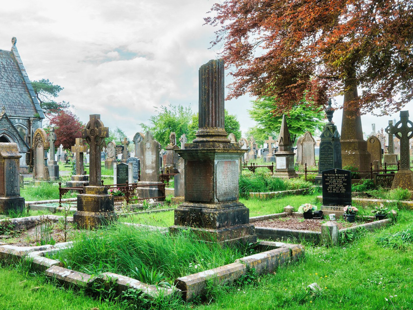 A LIFE CUT SHORT [ST FINBARR'S CEMETERY IN CORK] 001