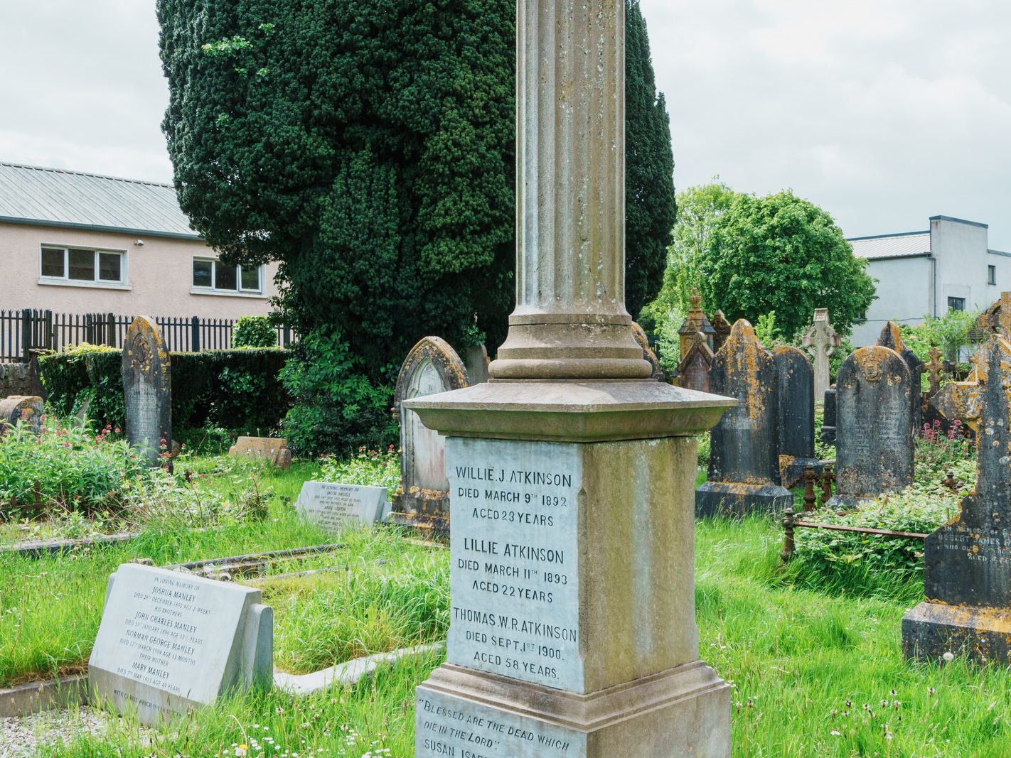 A LIFE CUT SHORT [ST LUKE'S CHURCH OF IRELAND GRAVEYARD IN DOUGLAS COUNTY CORK] 001