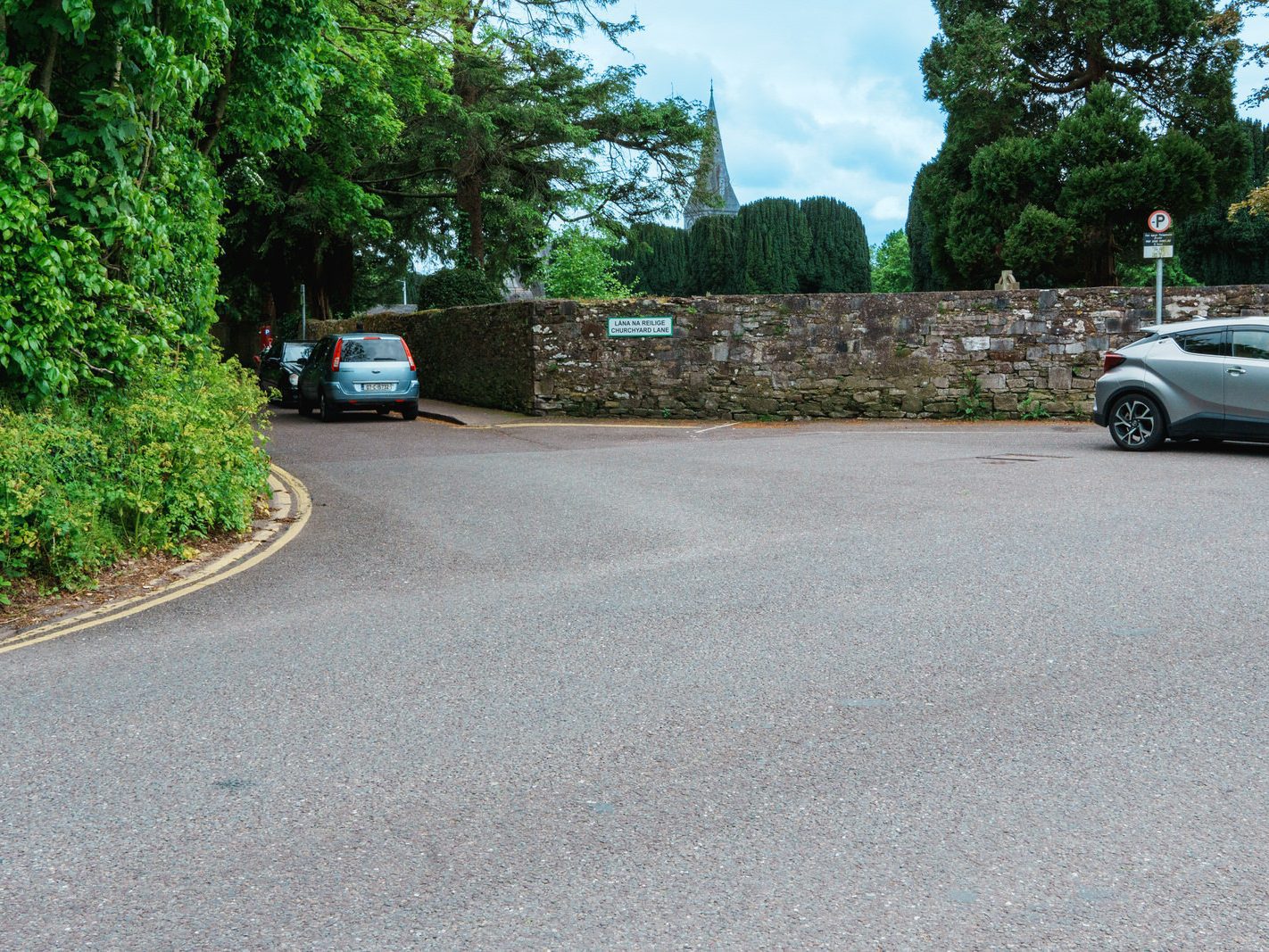 CHURCHYARD LANE IN DOUGLAS CORK 004