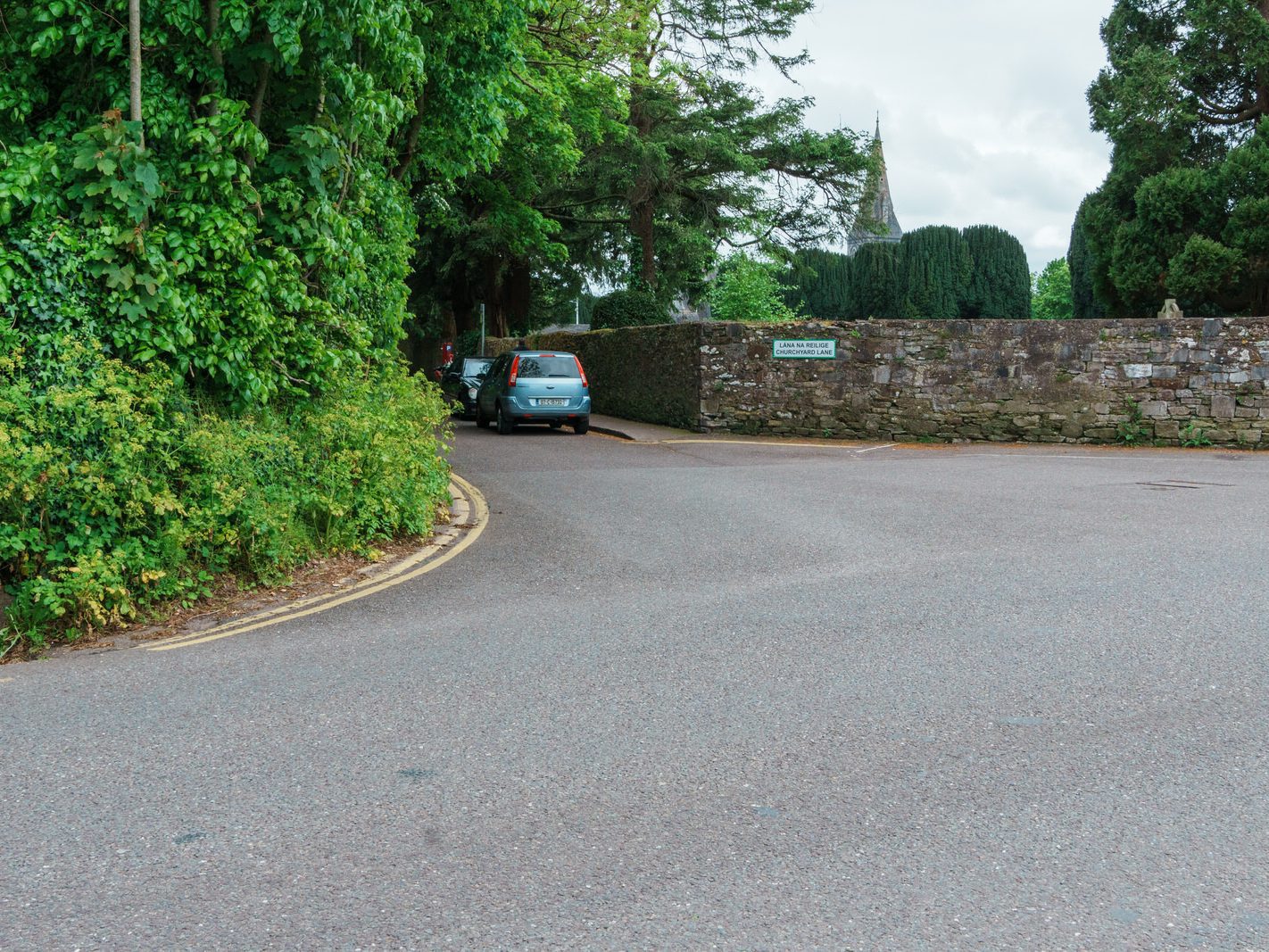 CHURCHYARD LANE IN DOUGLAS CORK 003