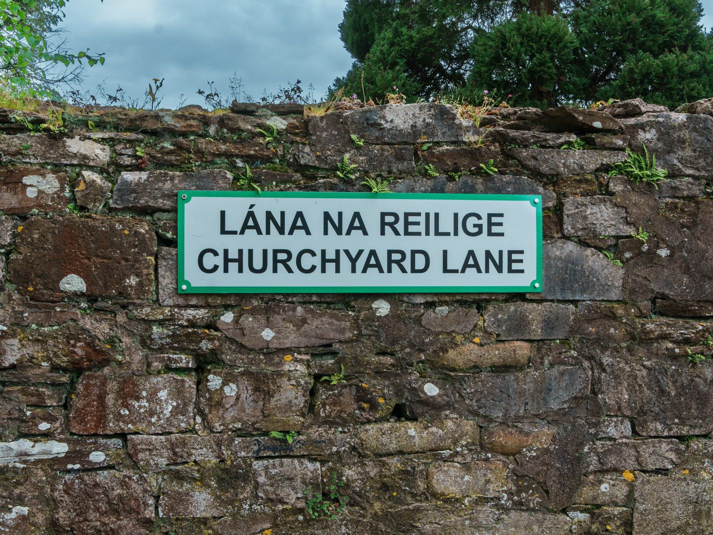 CHURCHYARD LANE IN DOUGLAS CORK 002
