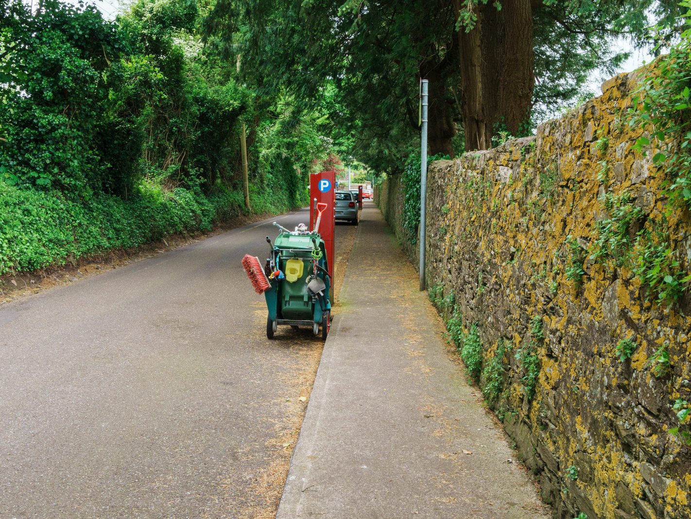 CHURCHYARD LANE IN DOUGLAS CORK 001