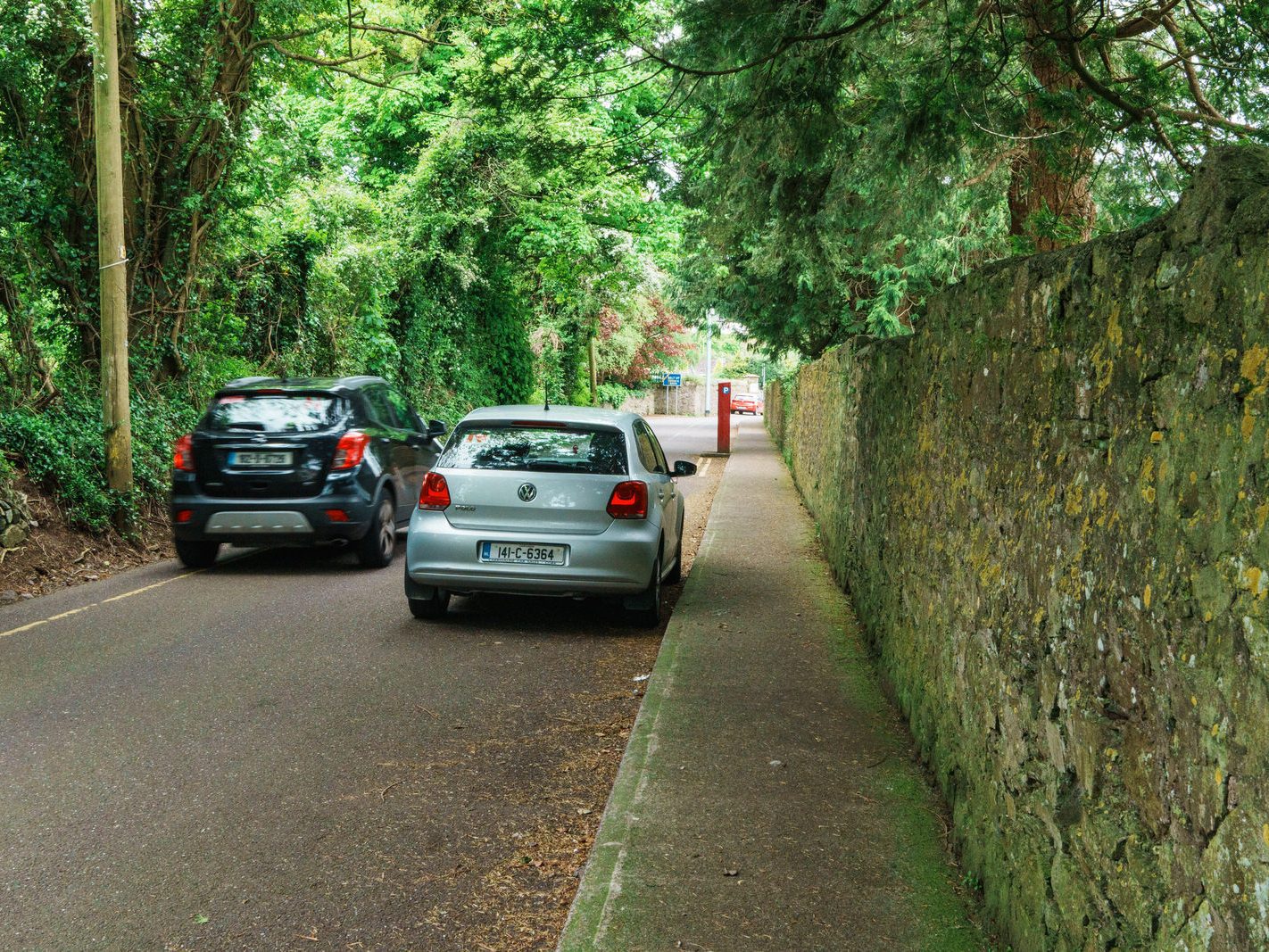 CHURCHYARD LANE IN DOUGLAS CORK 008