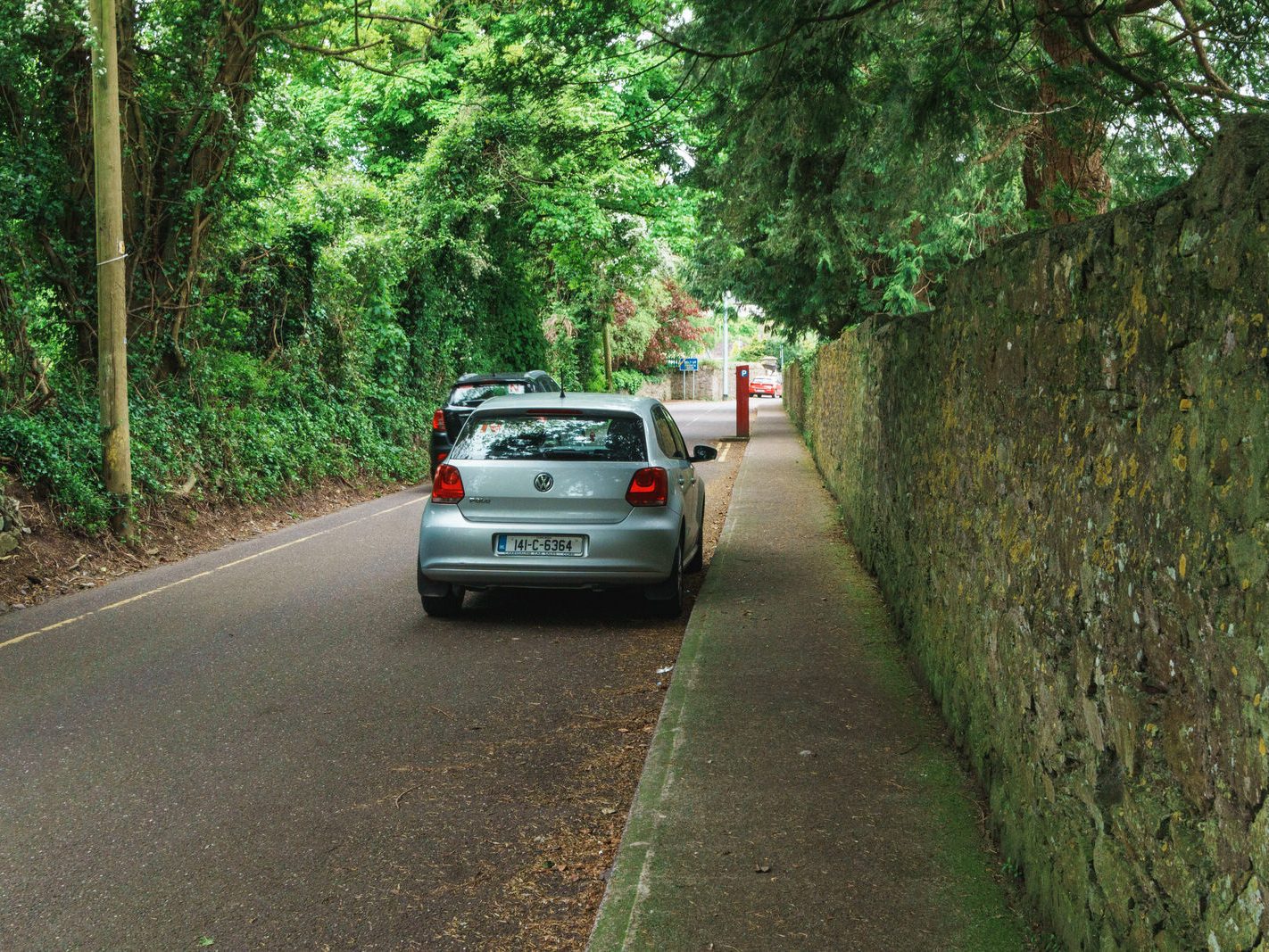 CHURCHYARD LANE IN DOUGLAS CORK 007