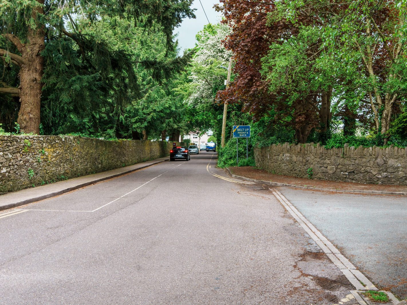 CHURCHYARD LANE IN DOUGLAS CORK 010