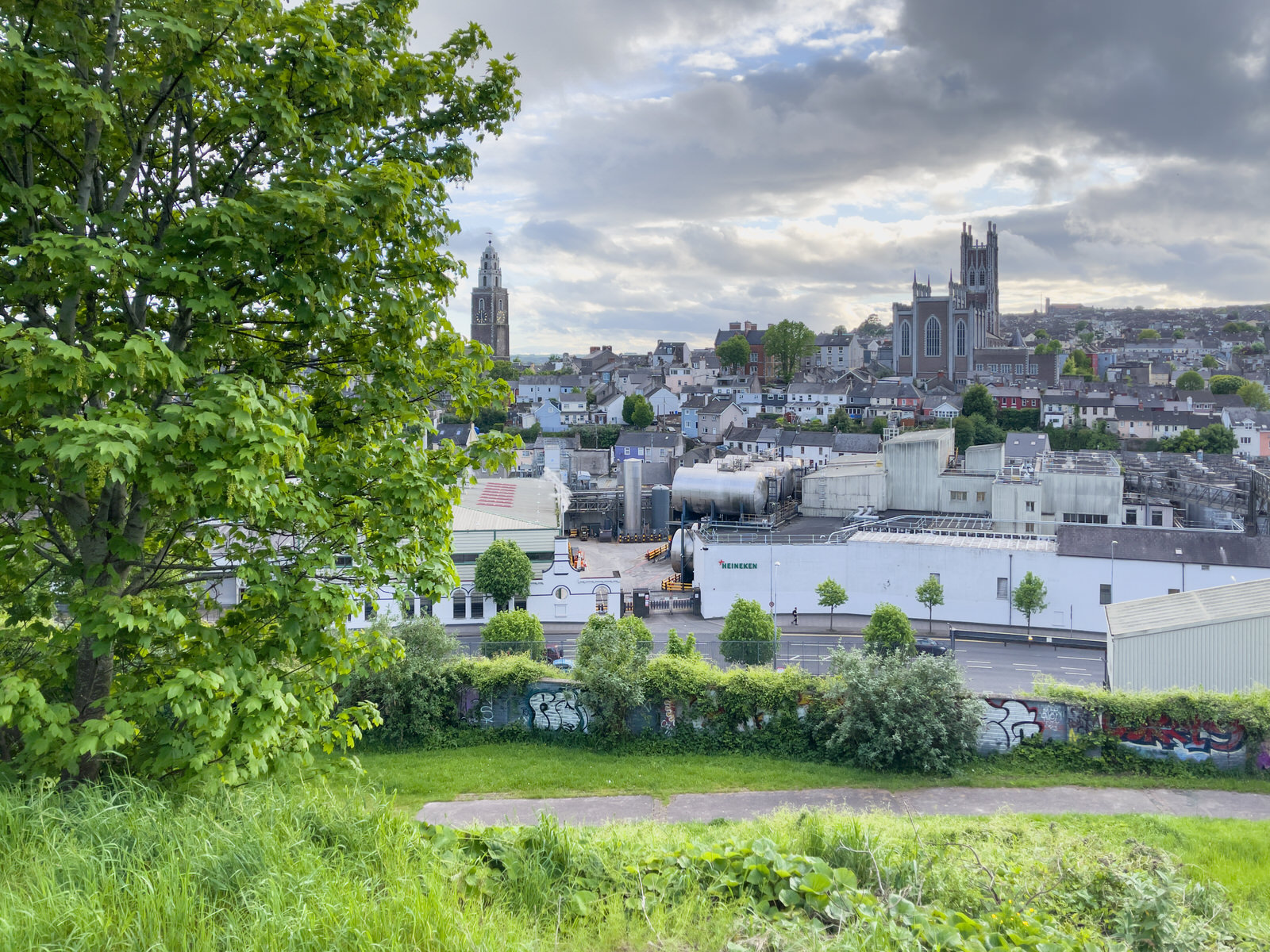 I WALKED ALONG RICHMOND HILL [FROM THE FEVER HOSPITAL STEPS TO HARDWICK STREET] 007