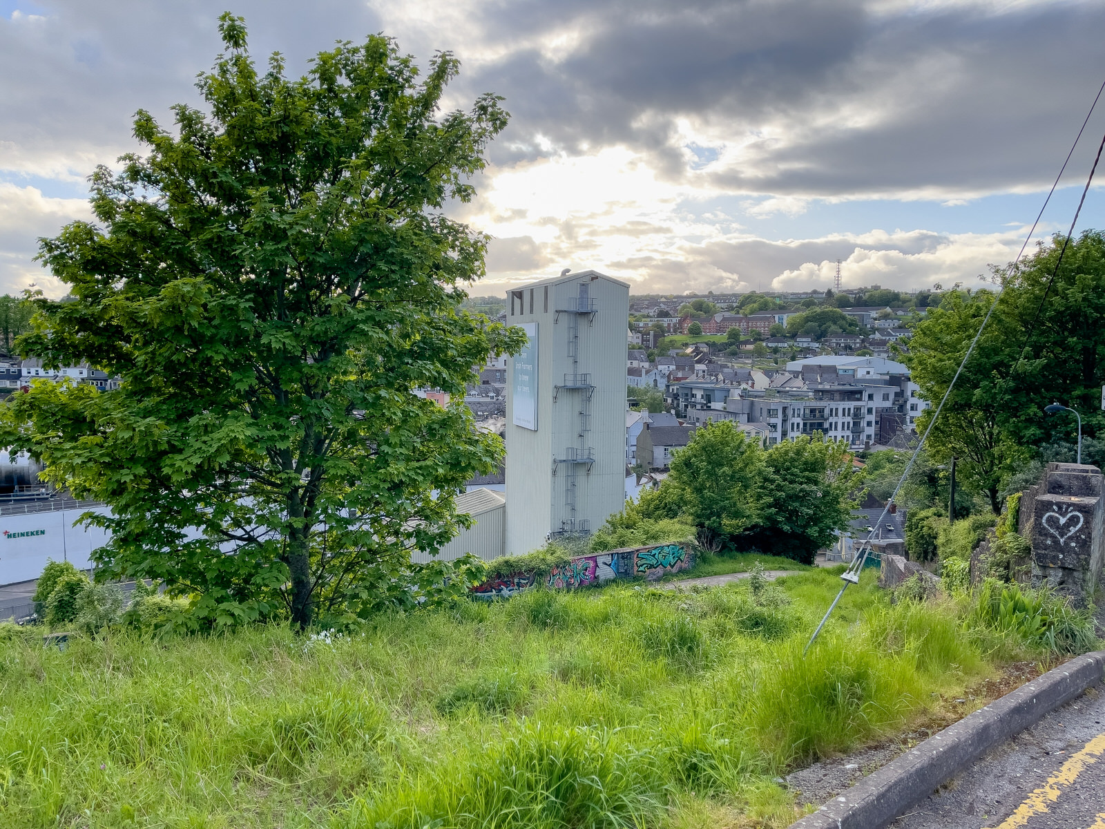 I WALKED ALONG RICHMOND HILL [FROM THE FEVER HOSPITAL STEPS TO HARDWICK STREET] 016