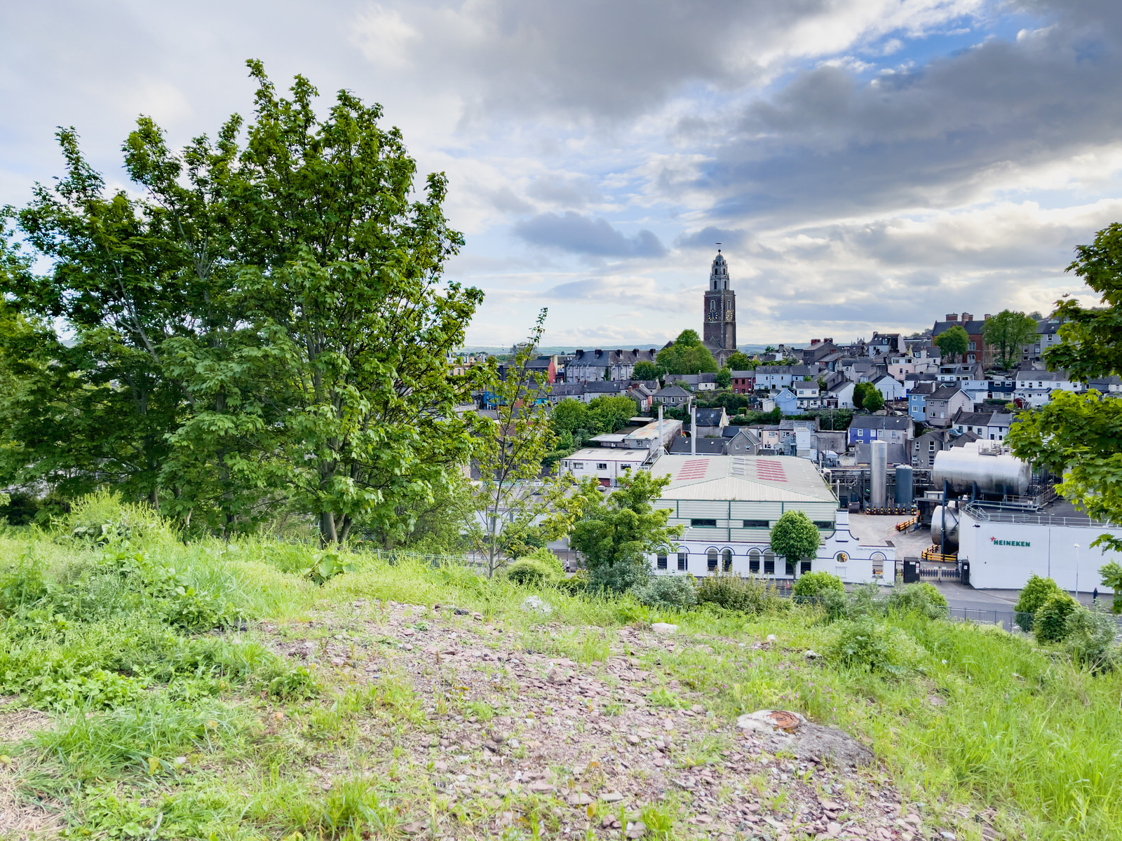 I WALKED ALONG RICHMOND HILL [FROM THE FEVER HOSPITAL STEPS TO HARDWICK STREET] 015