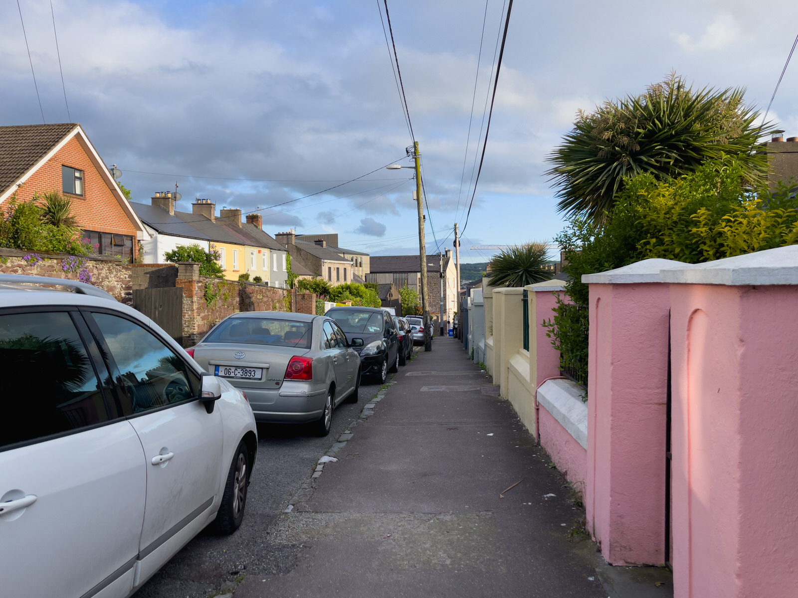 I WALKED ALONG RICHMOND HILL [FROM THE FEVER HOSPITAL STEPS TO HARDWICK STREET] 009