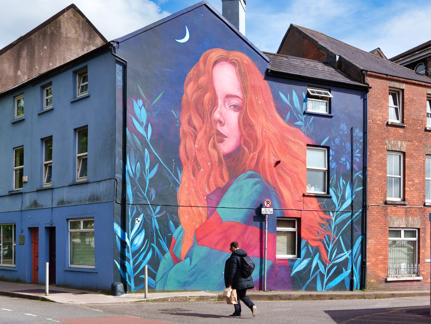 MURAL ON DRINAN STREET OFF SULLIVAN'S QUAY IN CORK [DANU BY KITSUNE JOLENE] 001