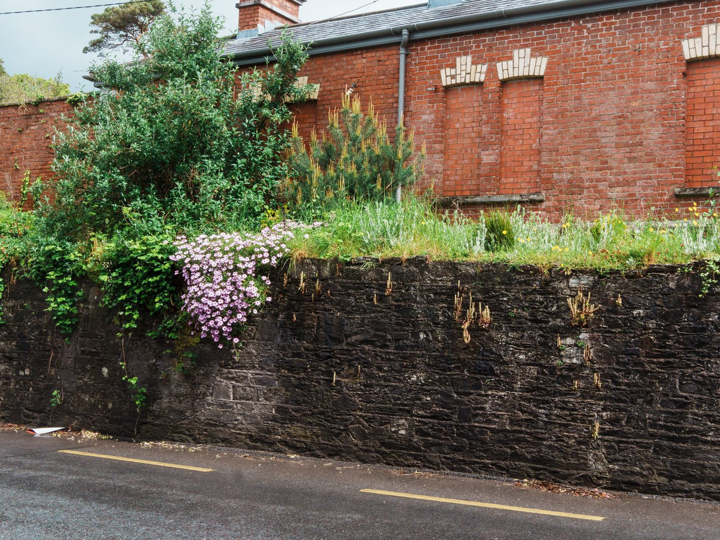RAILWAY STATION AT RUSHBROOKE IN CORK [CORK TO COBH LINE] 018