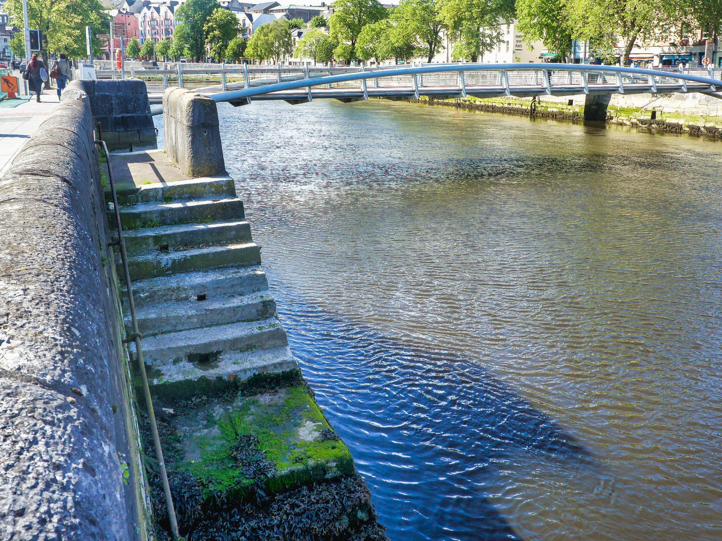 SHANDON PEDESTRIAN BRIDGE CORK [PHOTOGRAPHED IN MAY 2011] 004