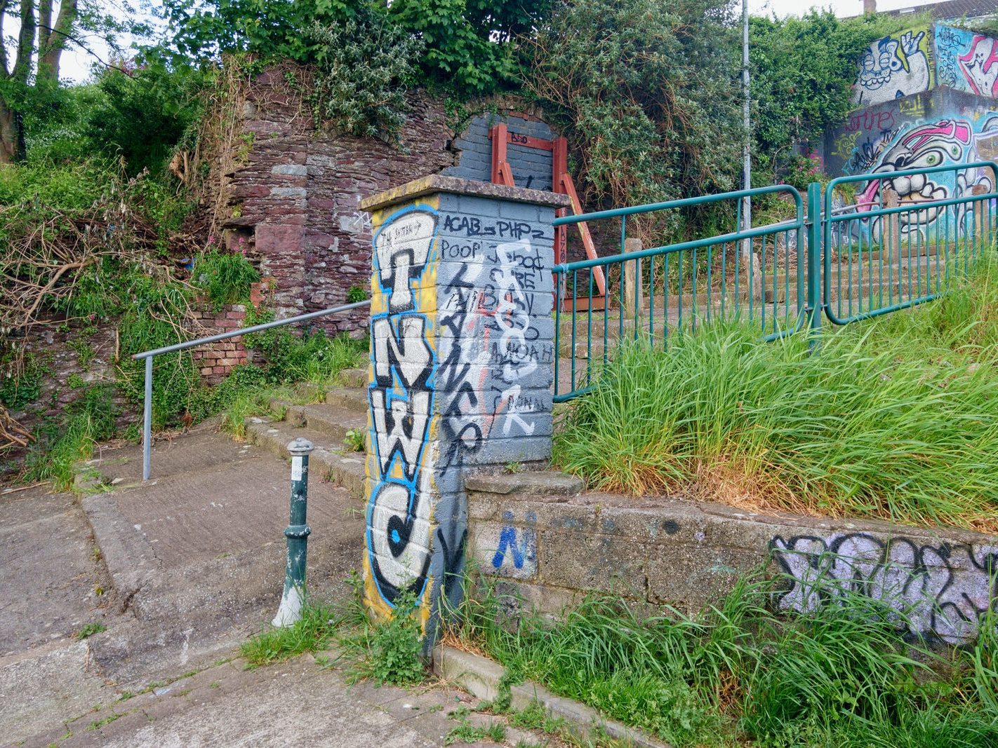 THE FEVER HOSPITAL STEPS CONNECTING LEITRIM STREET TO SHANDON COURT [ALSO VIEWS FROM RICHMOND HILL]006