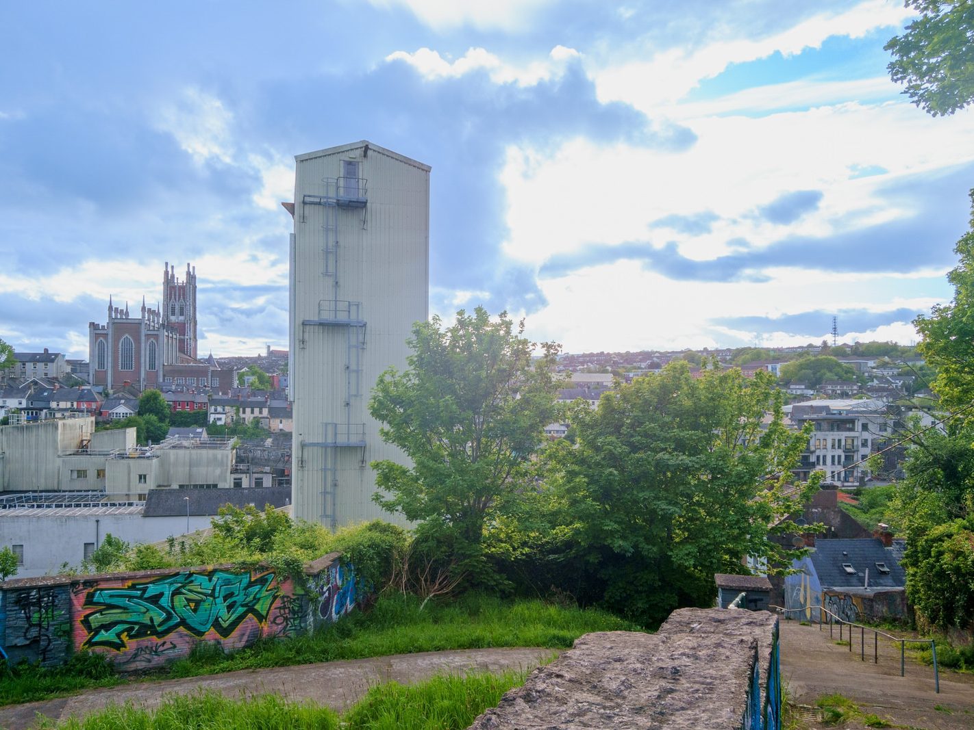 THE FEVER HOSPITAL STEPS CONNECTING LEITRIM STREET TO SHANDON COURT [ALSO VIEWS FROM RICHMOND HILL] 016