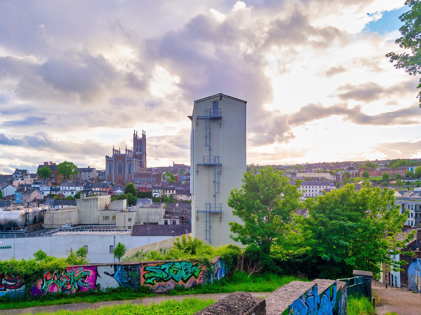 THE FEVER HOSPITAL STEPS CONNECTING LEITRIM STREET TO SHANDON COURT [ALSO VIEWS FROM RICHMOND HILL] 001