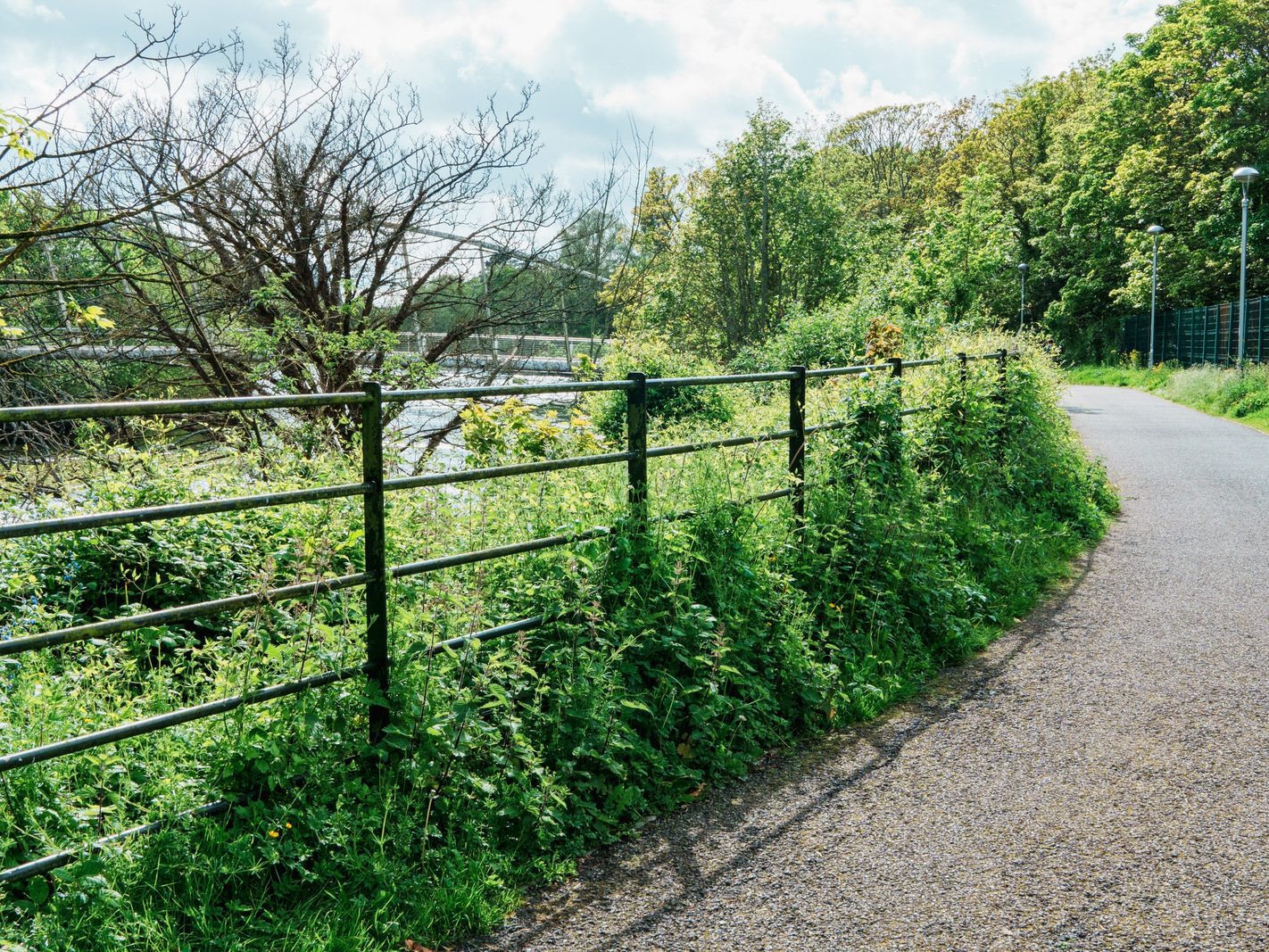 THE MARDYKE BRIDGE IN CORK [THE LEE WALK] 006