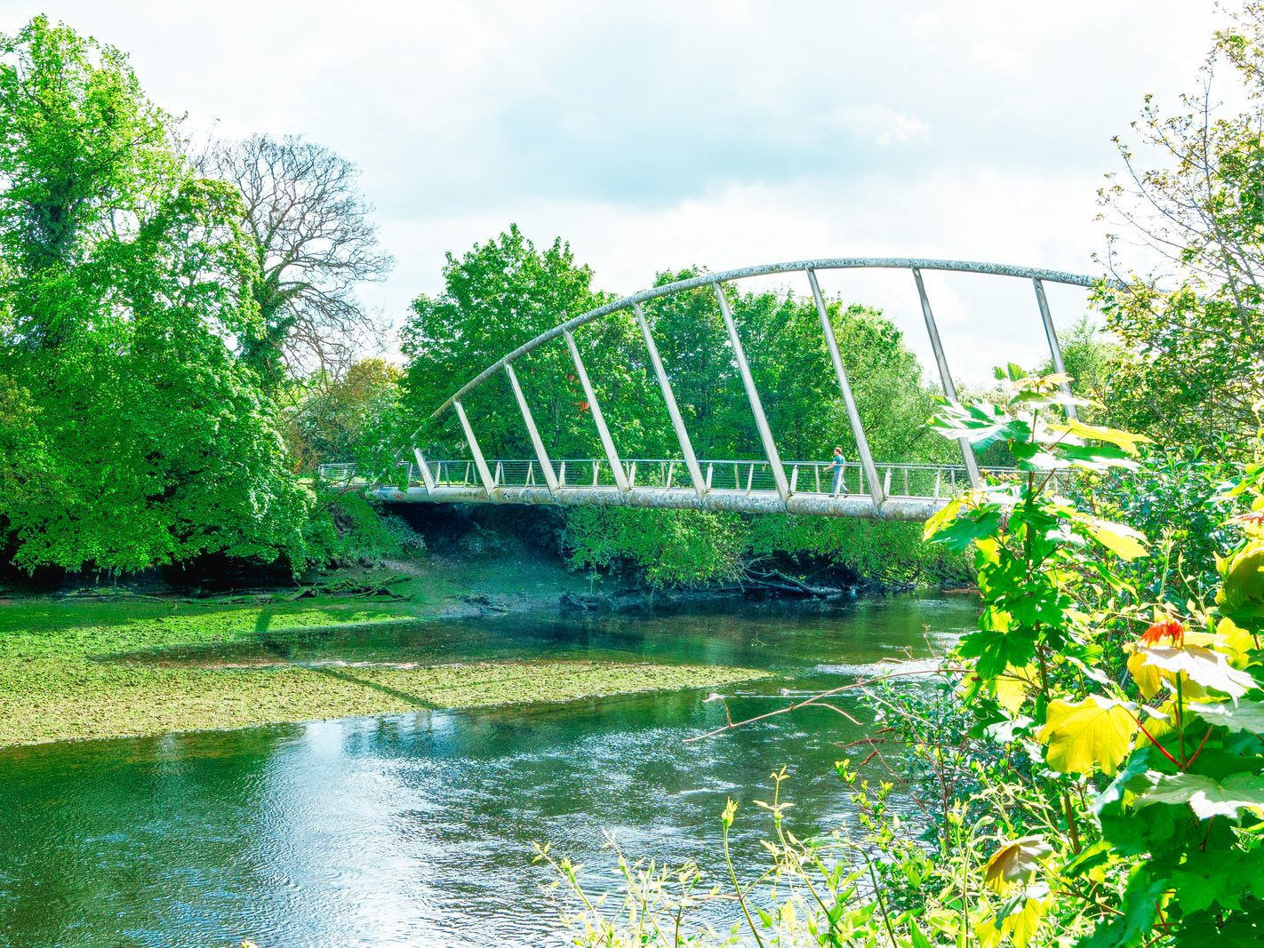 THE MARDYKE BRIDGE IN CORK [THE LEE WALK] 004
