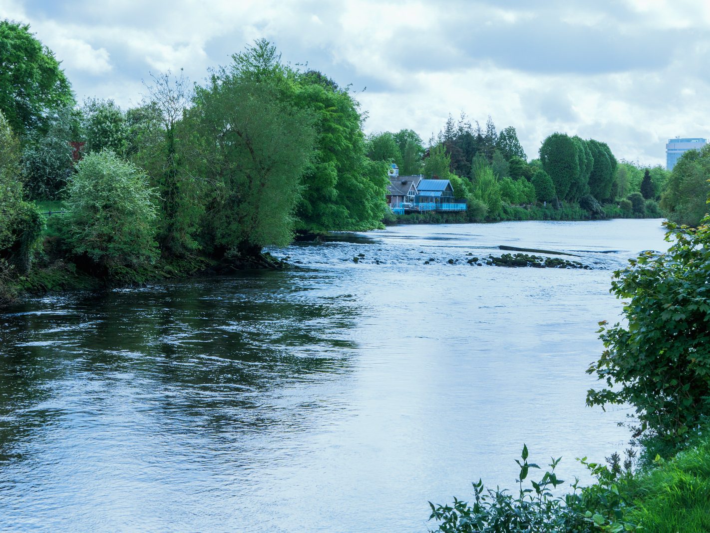 THE MARDYKE BRIDGE IN CORK [THE LEE WALK] 005