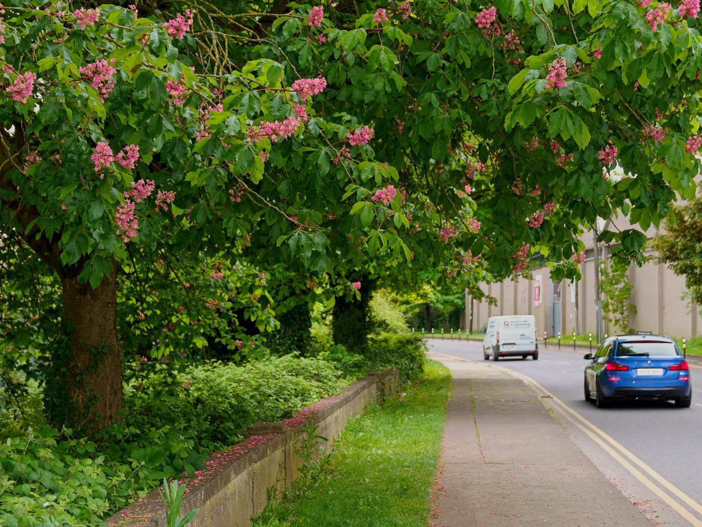 MONAHAN ROAD IN THE DOCKLANDS AREA OF CORK CITY [12 MAY 2022] 019