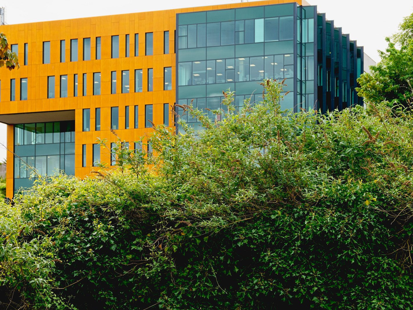 MONAHAN ROAD IN THE DOCKLANDS AREA OF CORK CITY [12 MAY 2022] 003