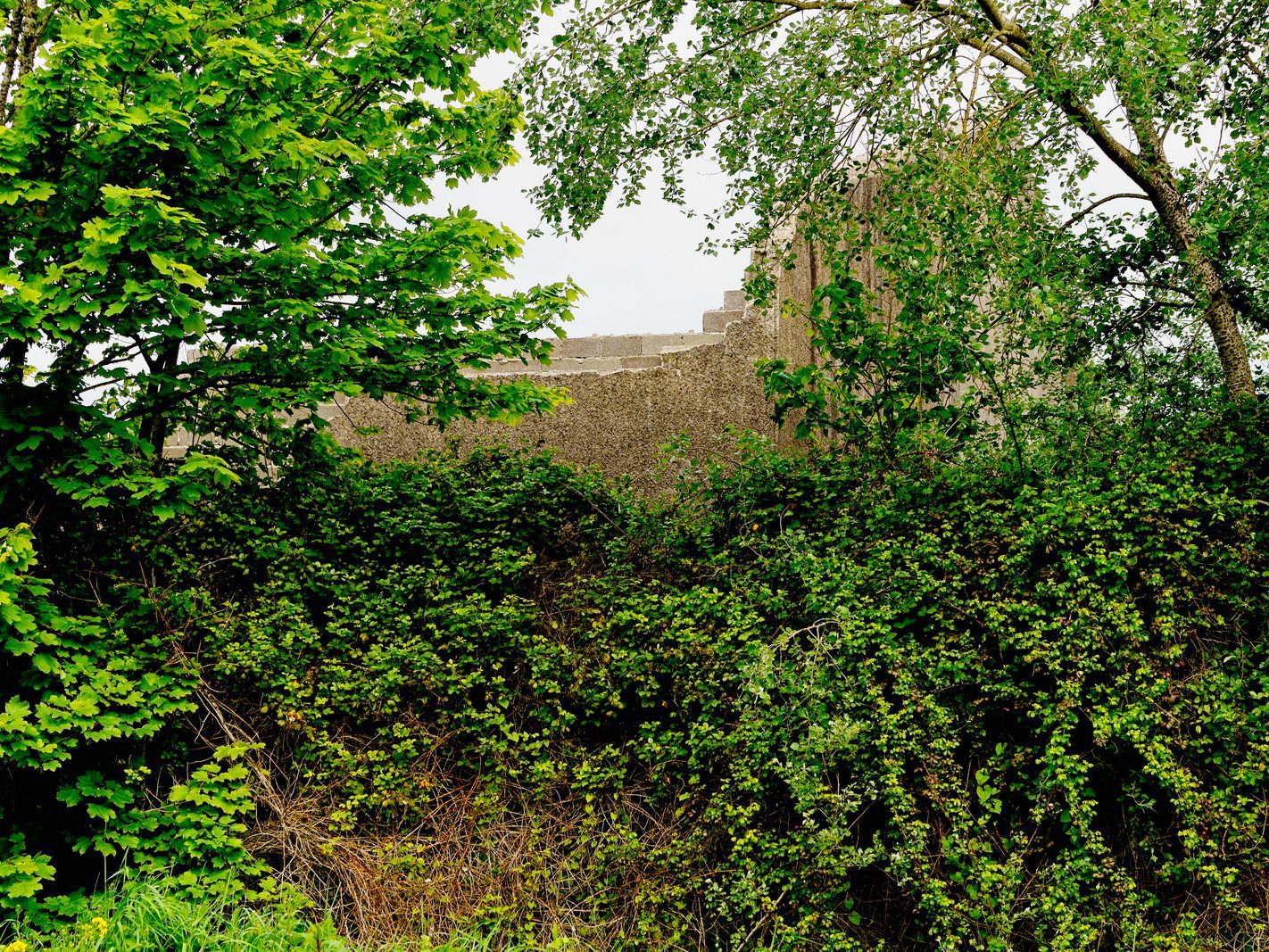 MONAHAN ROAD IN THE DOCKLANDS AREA OF CORK CITY [12 MAY 2022] 020