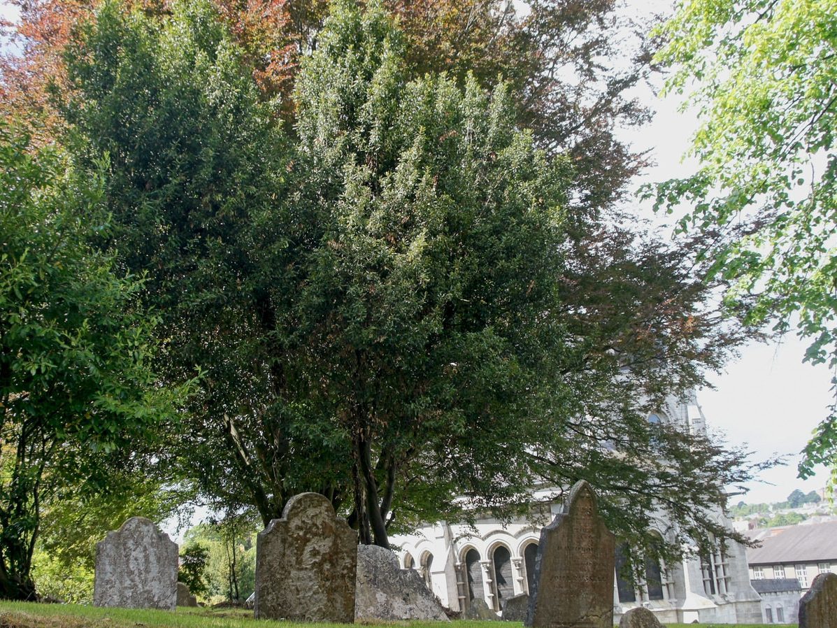 SAINT FIN BARRE'S CATHEDRAL IN CORK CITY [PHOTOGRAPHED MAY 2011 AND REPROCESSED 15 JUNE 2023] 003