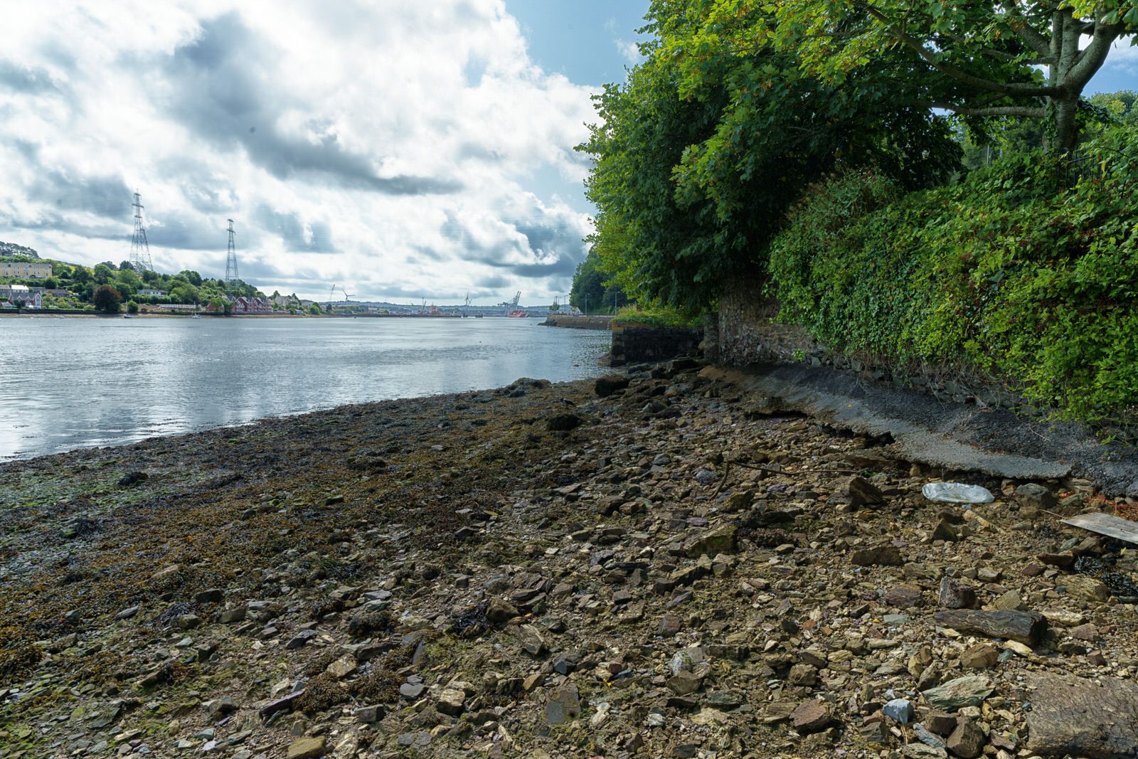 CROSS RIVER FERRY SERVICE IN CORK [GLENBROOK AND CARRIGALOE]-224579-1