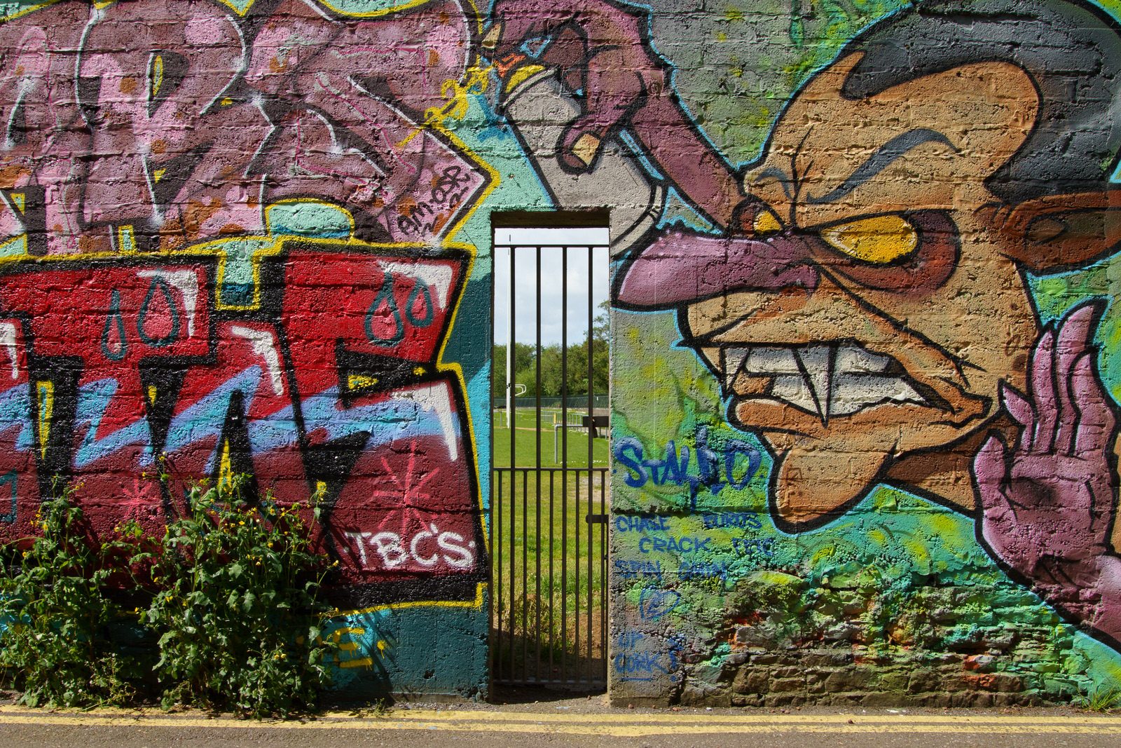 I CHECK THE STREET ART ON FERRY WALK EVERY TIME I VISIT CORK [NEAR THE POPULAR SHAKY BRIDGE]-224459-1