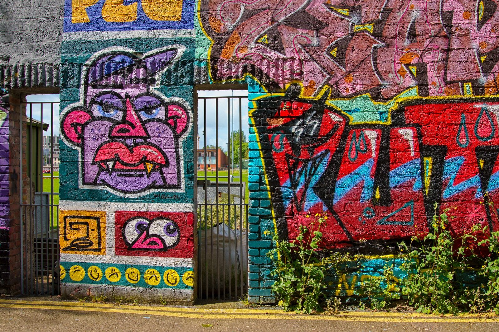 I CHECK THE STREET ART ON FERRY WALK EVERY TIME I VISIT CORK [NEAR THE POPULAR SHAKY BRIDGE]-224460-1