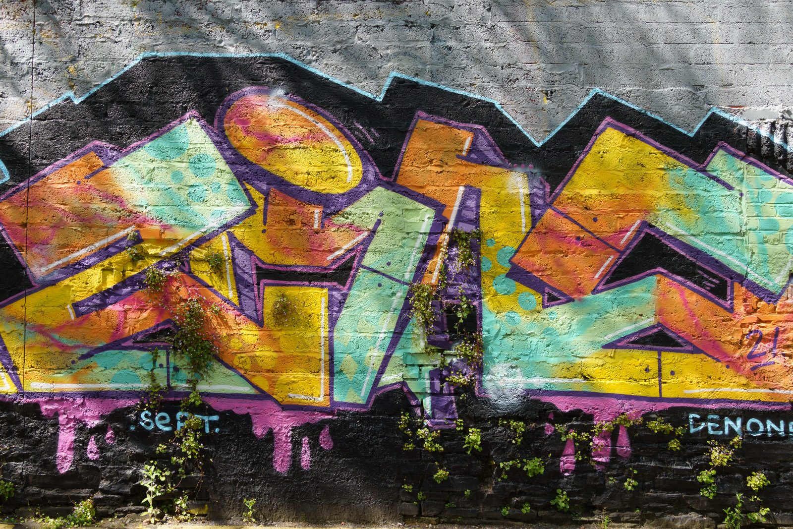 I CHECK THE STREET ART ON FERRY WALK EVERY TIME I VISIT CORK [NEAR THE POPULAR SHAKY BRIDGE]-224462-1