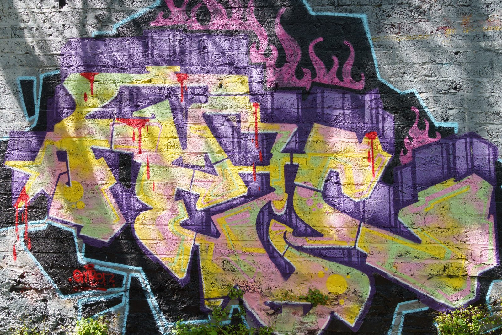I CHECK THE STREET ART ON FERRY WALK EVERY TIME I VISIT CORK [NEAR THE POPULAR SHAKY BRIDGE]-224463-1