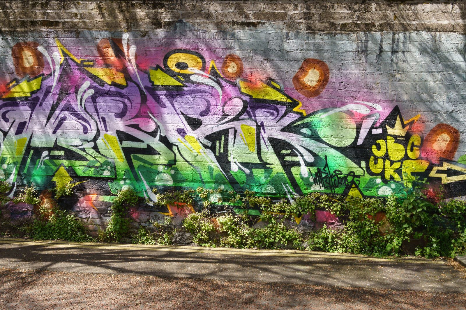 I CHECK THE STREET ART ON FERRY WALK EVERY TIME I VISIT CORK [NEAR THE POPULAR SHAKY BRIDGE]-224464-1