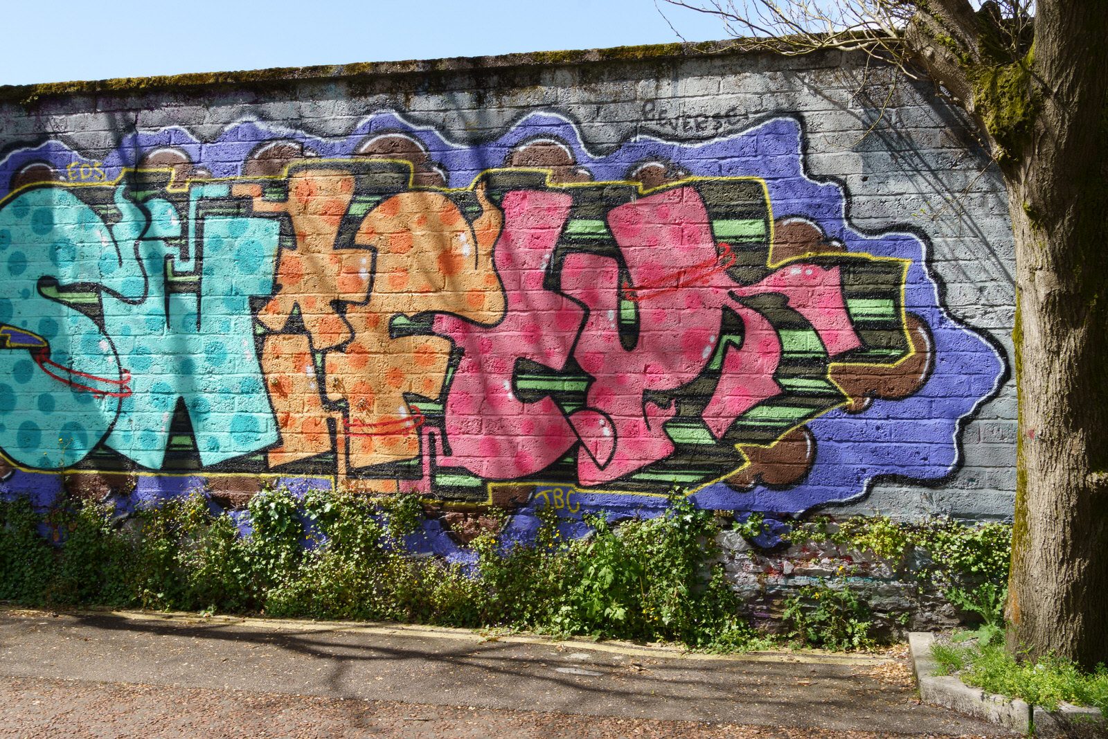 I CHECK THE STREET ART ON FERRY WALK EVERY TIME I VISIT CORK [NEAR THE POPULAR SHAKY BRIDGE]-224465-1