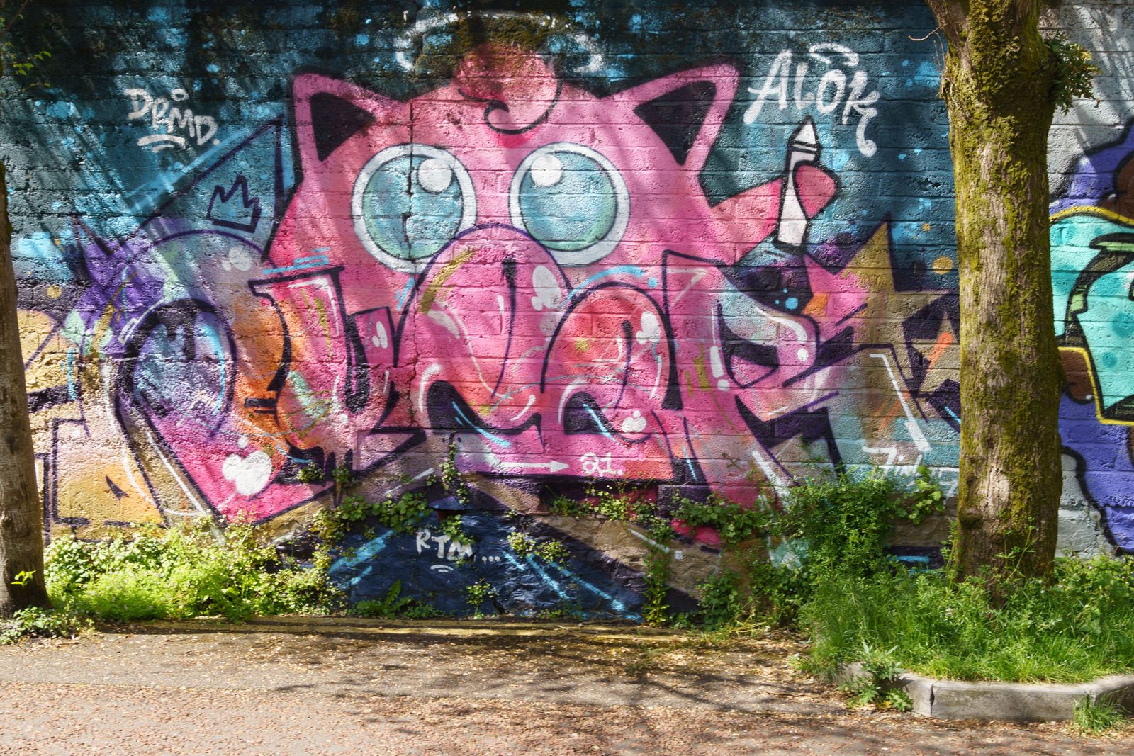 I CHECK THE STREET ART ON FERRY WALK EVERY TIME I VISIT CORK [NEAR THE POPULAR SHAKY BRIDGE]-224466-1