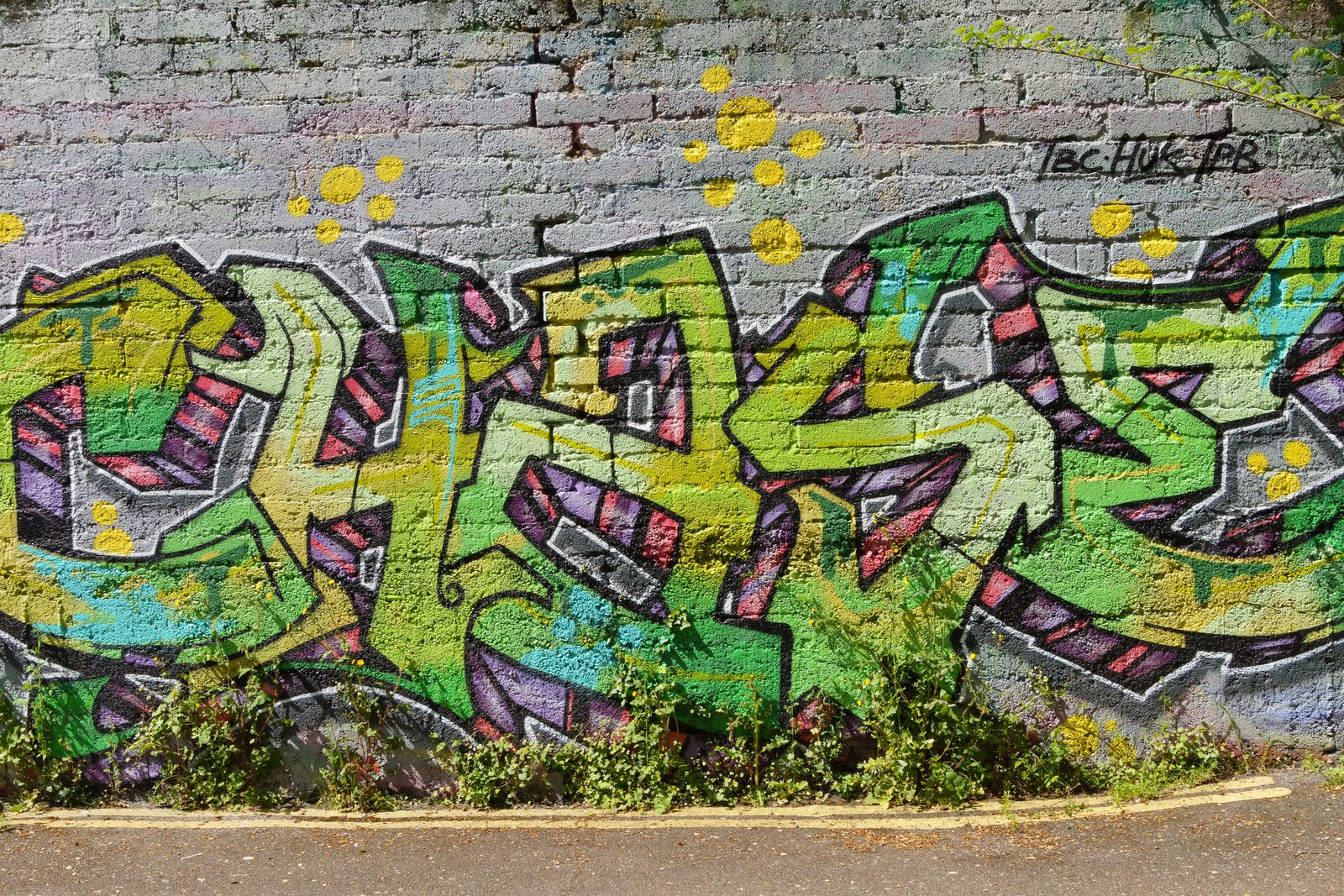 I CHECK THE STREET ART ON FERRY WALK EVERY TIME I VISIT CORK [NEAR THE POPULAR SHAKY BRIDGE]-224469-1