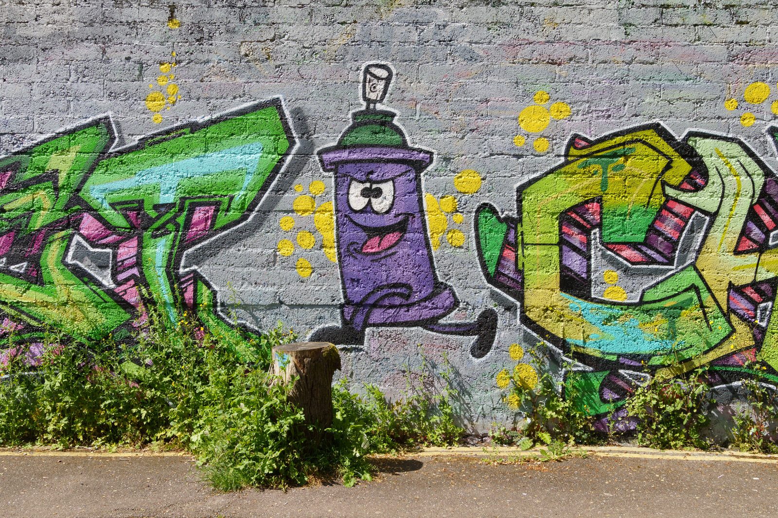 I CHECK THE STREET ART ON FERRY WALK EVERY TIME I VISIT CORK [NEAR THE POPULAR SHAKY BRIDGE]-224470-1