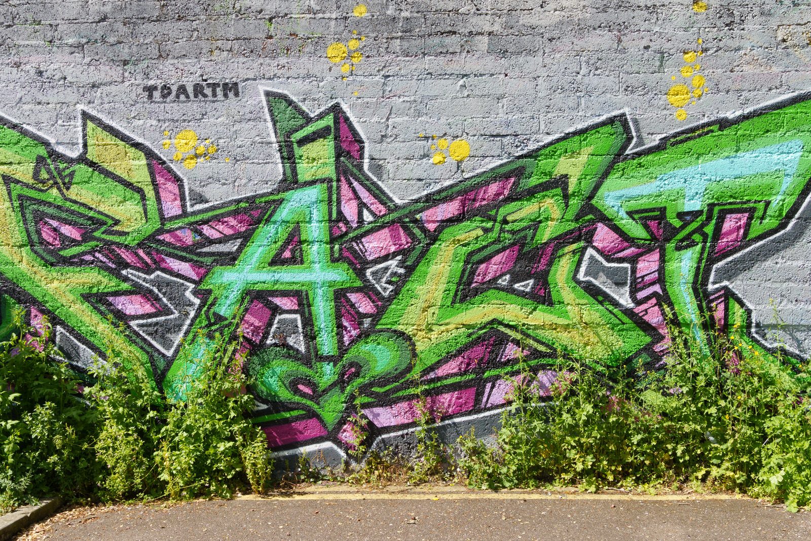 I CHECK THE STREET ART ON FERRY WALK EVERY TIME I VISIT CORK [NEAR THE POPULAR SHAKY BRIDGE]-224471-1