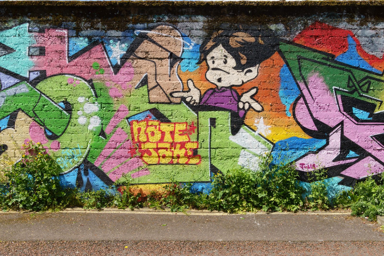I CHECK THE STREET ART ON FERRY WALK EVERY TIME I VISIT CORK [NEAR THE POPULAR SHAKY BRIDGE]-224473-1